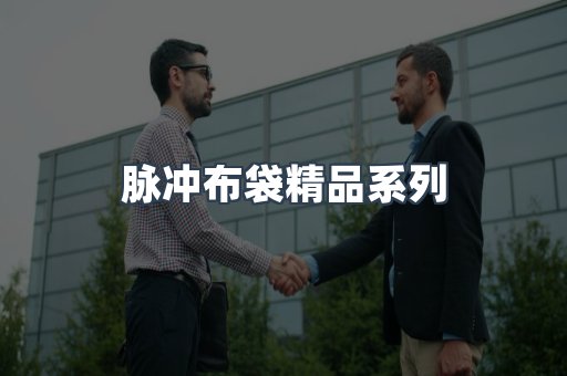 脉冲布袋精品系列
