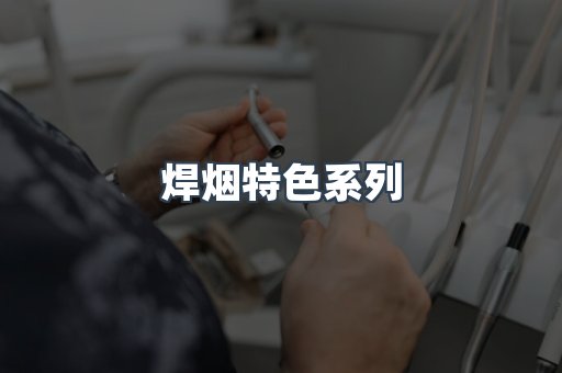 焊烟特色系列